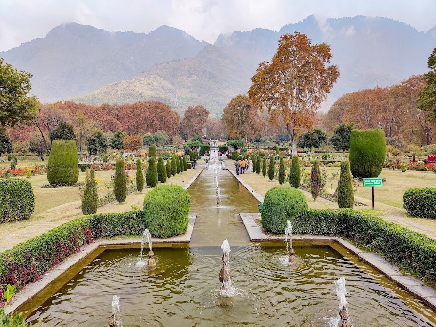Nishat Bagh, Srinagar